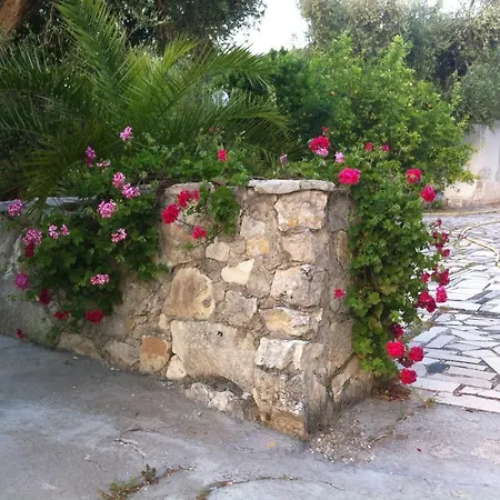B&B Azienda Agricola Macchiaria *