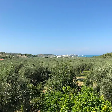 Azienda Agricola Macchiaria B&B *