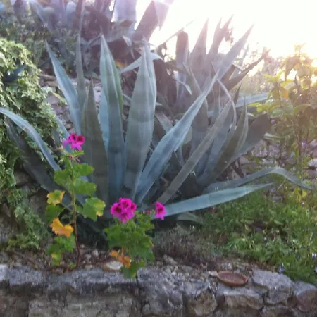 Bed & Breakfast Macchiaria 3*