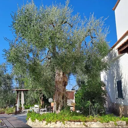Bed & Breakfast Macchiaria 3*