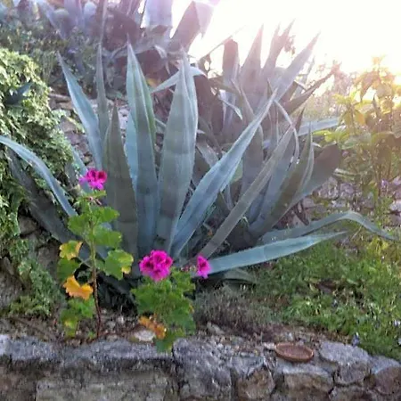Bed & Breakfast Macchiaria