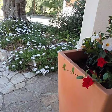 Bed & Breakfast Macchiaria 3*