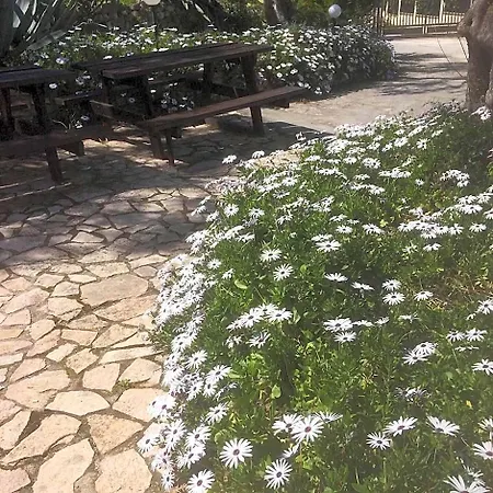 Macchiaria