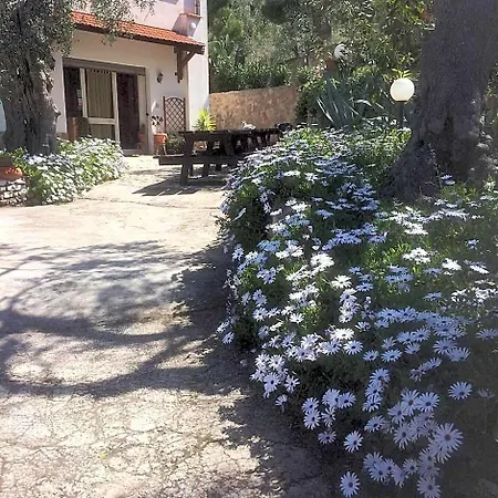 Macchiaria