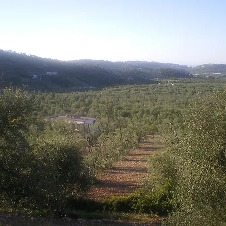 Macchiaria Vieste